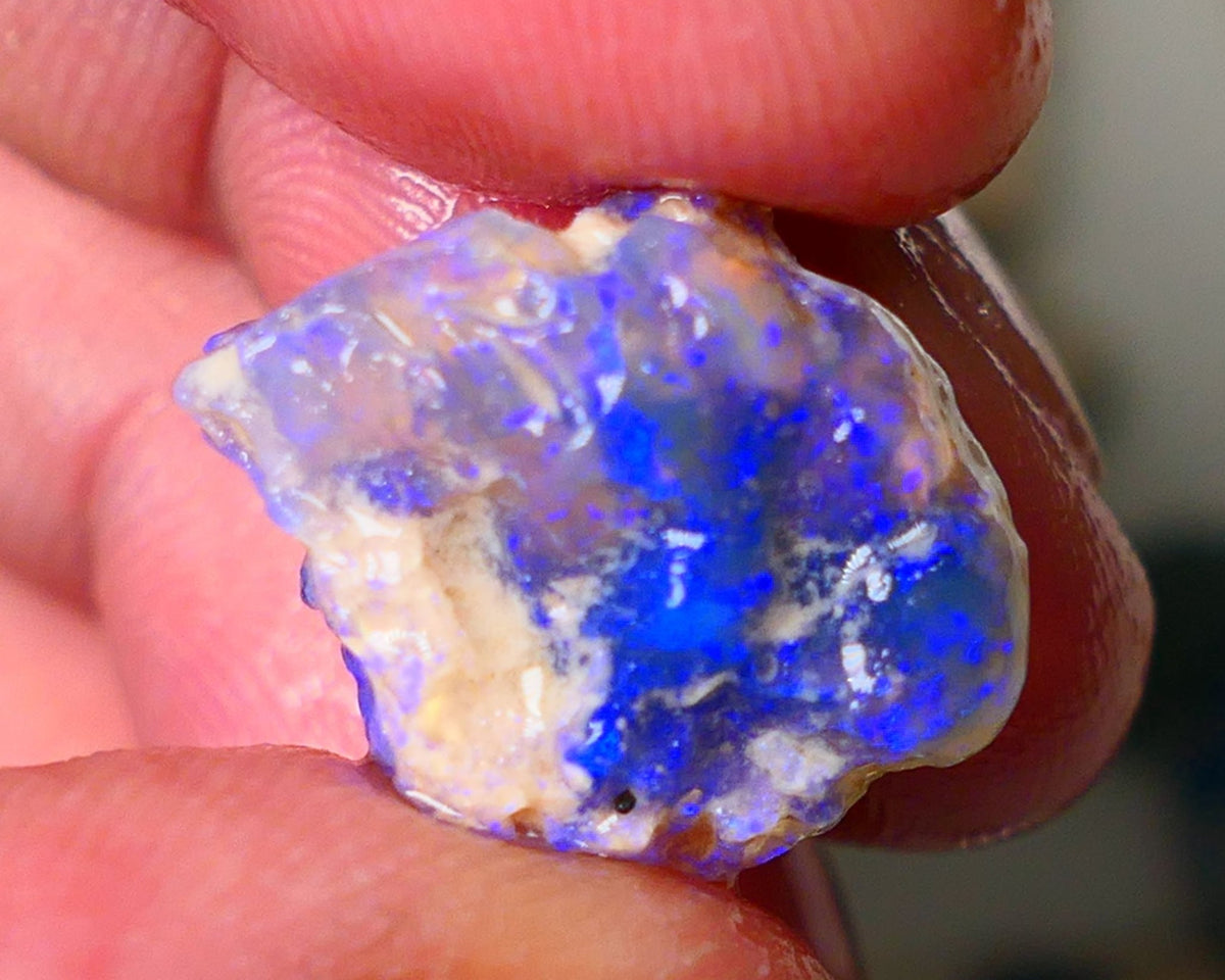 Lightning Ridge Knobby opal rough showing nice bright Deep blue colours 13.00cts 19x1x11mm ALP121