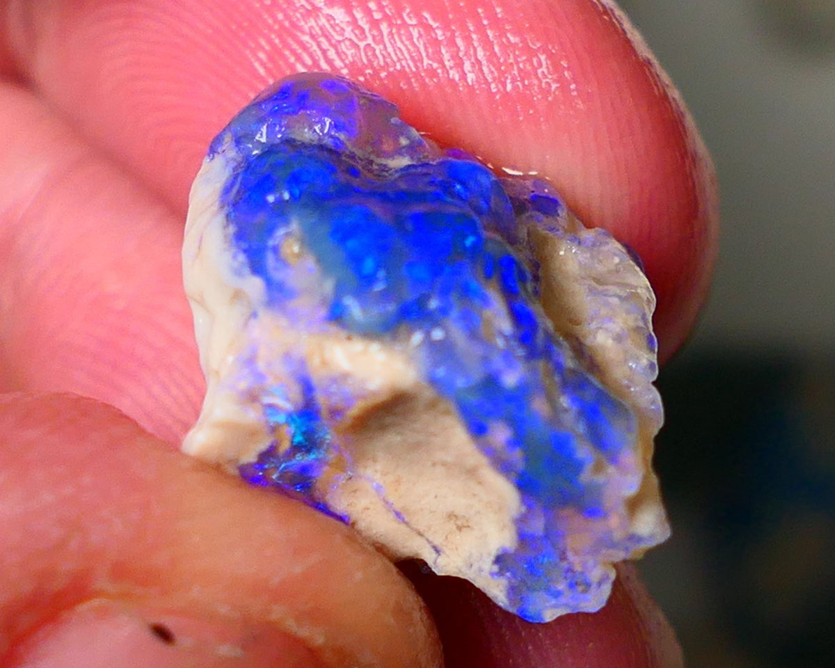 Lightning Ridge Knobby opal rough showing nice bright Deep blue colours 13.00cts 19x1x11mm ALP121