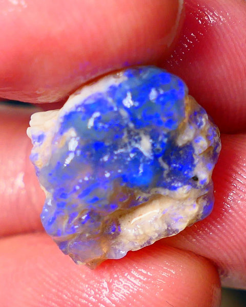 Lightning Ridge Knobby opal rough showing nice bright Deep blue colours 13.00cts 19x1x11mm ALP121