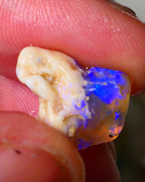 Lightning Ridge Knobby opal formation rough showing nice bright blue colours 8.50cts 18x13x9mm ALP119