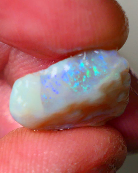 Lightning Ridge Dark Crystal Seam opal rough 7.25cts showing Gemmy bright bar with multi colours to cut worth a gamble on this one cut a gem 16x14x5mm ALP118