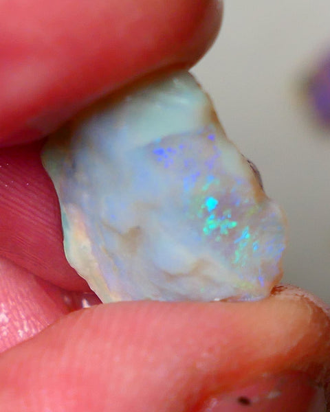 Lightning Ridge Dark Crystal Seam opal rough 7.25cts showing Gemmy bright bar with multi colours to cut worth a gamble on this one cut a gem 16x14x5mm ALP118