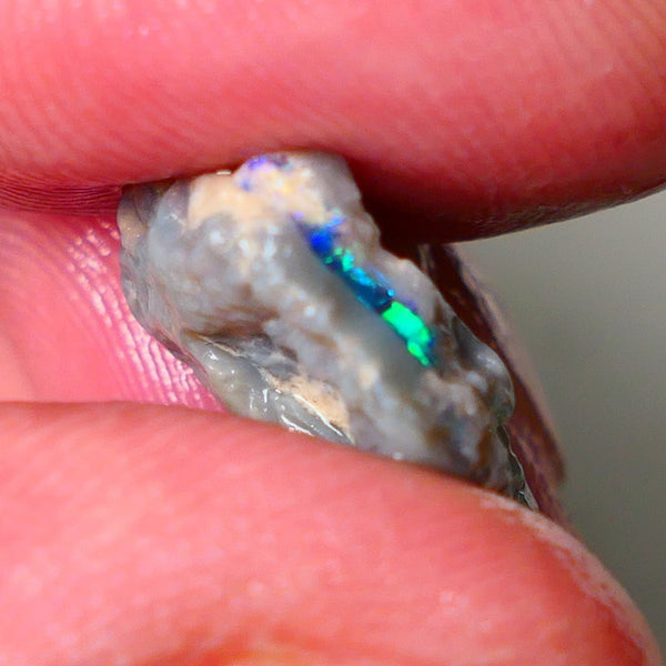 Lightning Ridge Seam opal rough 6.05cts showing Gemmy Very bright consistent flt bar with multi colours to cut worth a gamble on this one cut a gem 16x12x6mm ALP117