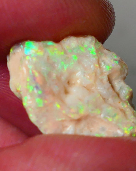 Lightning Ridge Gamble Knobby opal formation rough showing Very bright Yellow dominant Multi colours 7.00cts 20x13x5mm ALP116