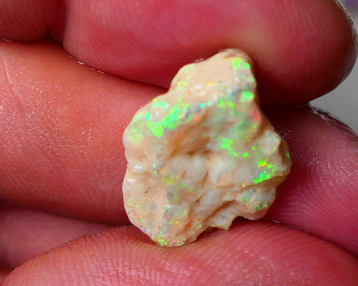 Lightning Ridge Gamble Knobby opal formation rough showing Very bright Yellow dominant Multi colours 7.00cts 20x13x5mm ALP116