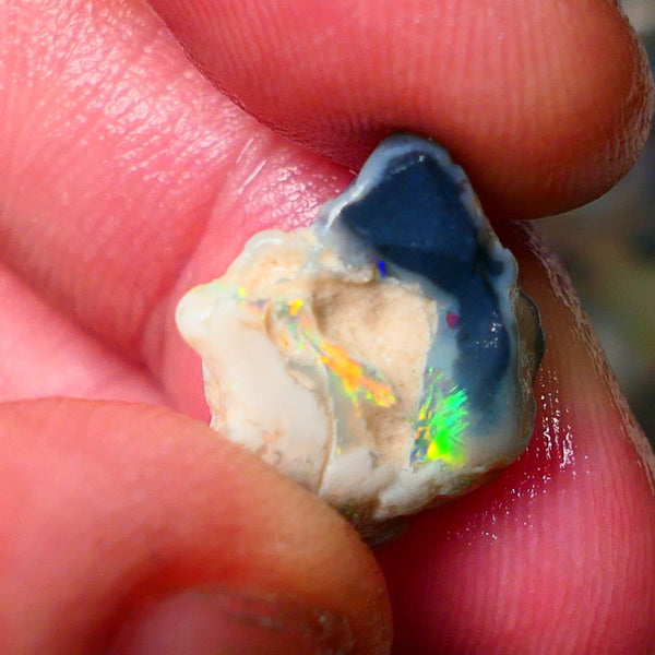 Lightning Ridge Gamble knobby opal rough very Vibrant bright multi colours 17x14x9mm ALP129