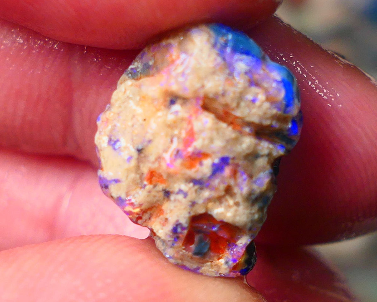 Lightning Ridge Gamble knobby opal rough showing nice bright Blue colours 17x13x9mm ALP130