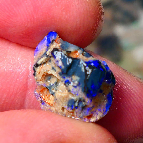 Lightning Ridge Gamble knobby opal rough showing nice bright Blue colours 17x13x9mm ALP130