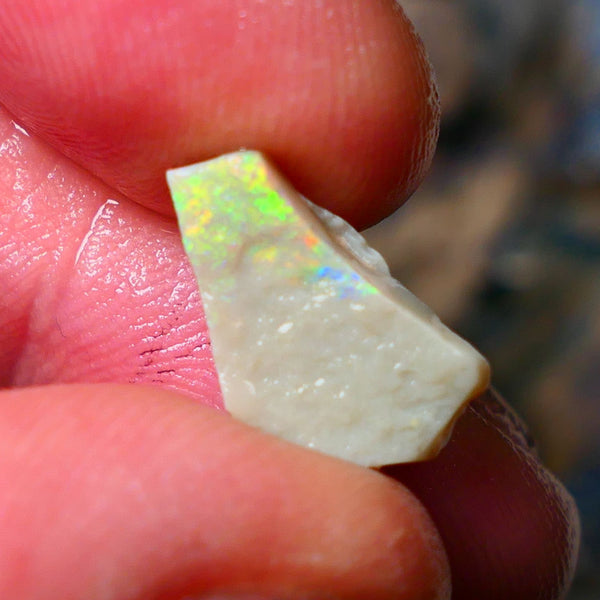 Lightning Ridge Gamble Seam opal rough 3.25cts Displaying  Vibrant & bright Multi colours 15x10x3mm ALP132