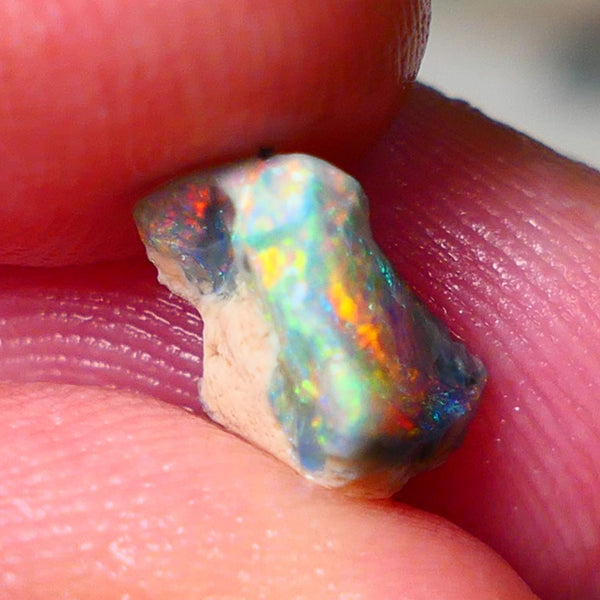 Lightning Ridge Small Gemmy Gamble opal rough  1.65cts showing Reds & bright Multifires 10x6x5mm ALP133