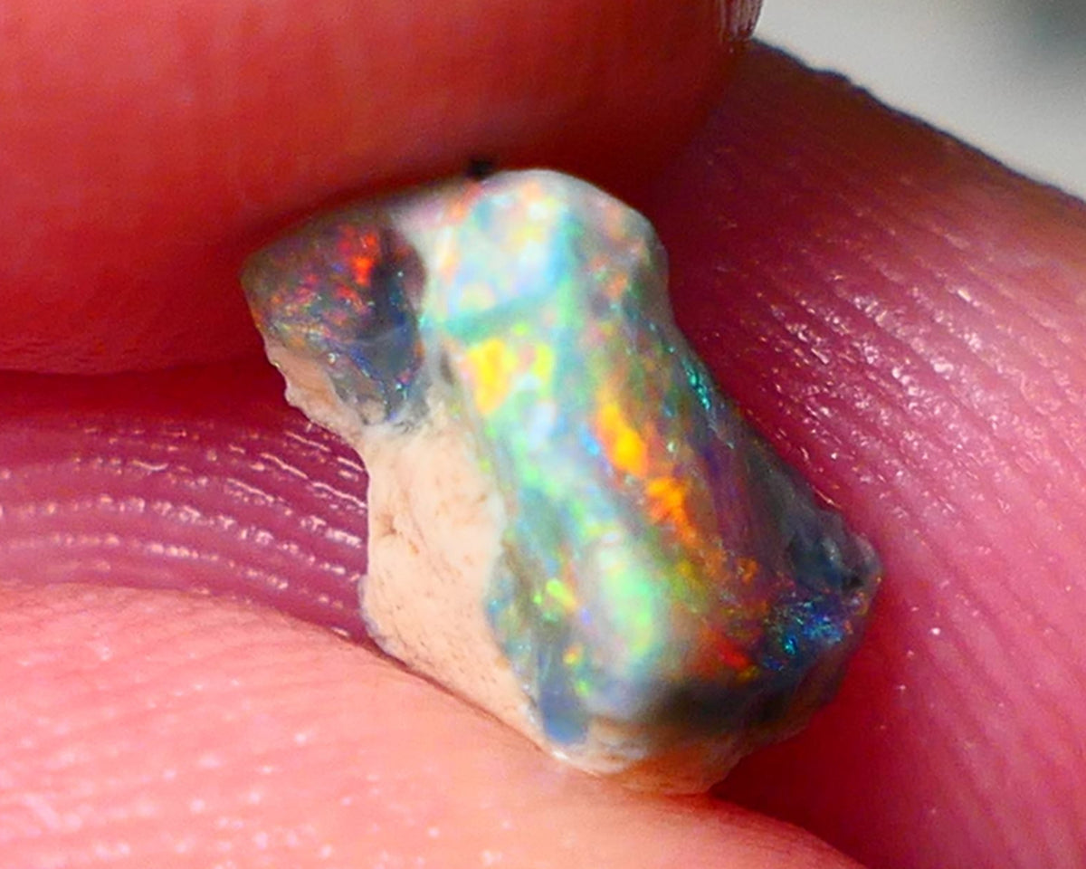 Lightning Ridge Small Gemmy Gamble opal rough  1.65cts showing Reds & bright Multifires 10x6x5mm ALP133