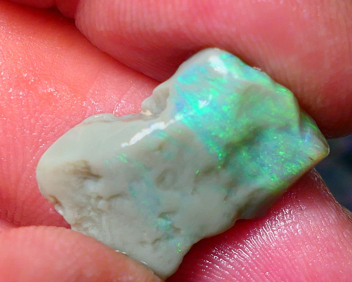 Lightning Ridge Gamble opal rough 10.00cts showing nice bright Green colours 21x14x5mm ALP138