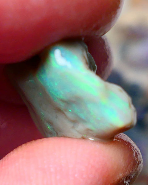 Lightning Ridge Gamble opal rough 10.00cts showing nice bright Green colours 21x14x5mm ALP138