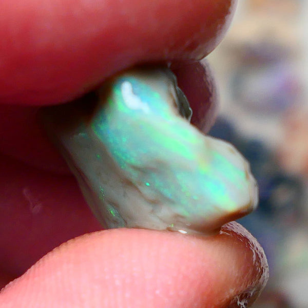 Lightning Ridge Gamble opal rough 10.00cts showing nice bright Green colours 21x14x5mm ALP138