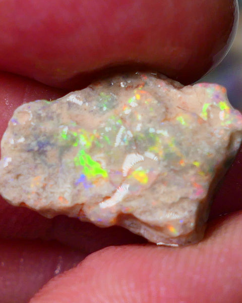 Lightning Ridge Gamble knobby opal formation rough showing Vibrant bright Multi colours 17x12x7mm AL139