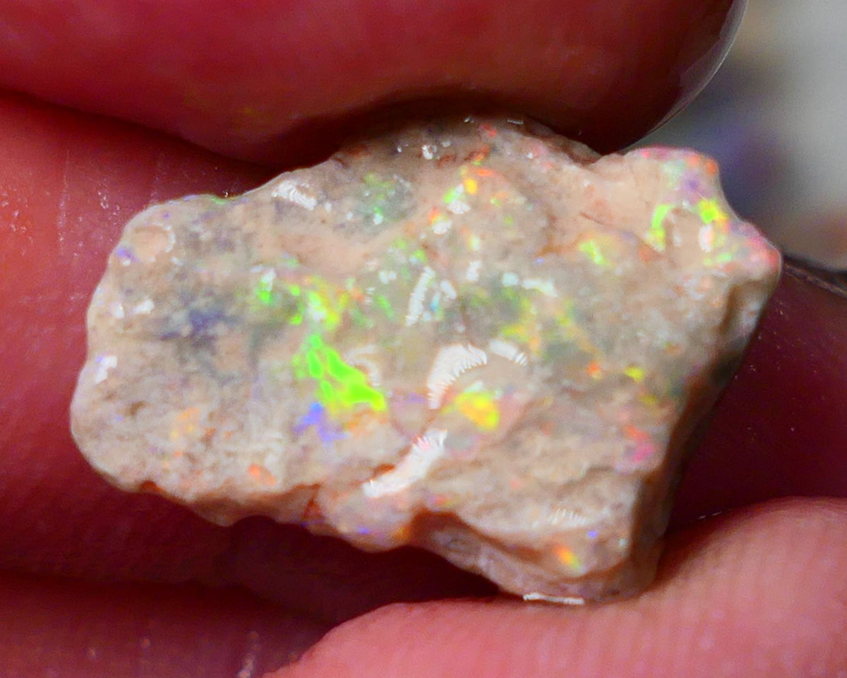 Lightning Ridge Gamble knobby opal formation rough showing Vibrant bright Multi colours 17x12x7mm AL139