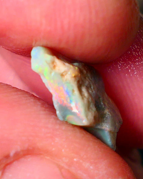 Lightning Ridge Small Cutters Seam opal rough 3.00cts showing Lovely bright Reds/Orange/Yellow 14x9x4mm ALP156