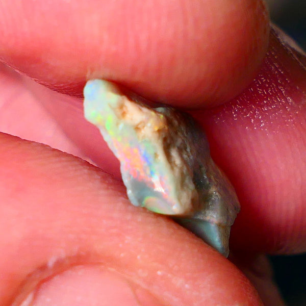 Lightning Ridge Small Cutters Seam opal rough 3.00cts showing Lovely bright Reds/Orange/Yellow 14x9x4mm ALP156