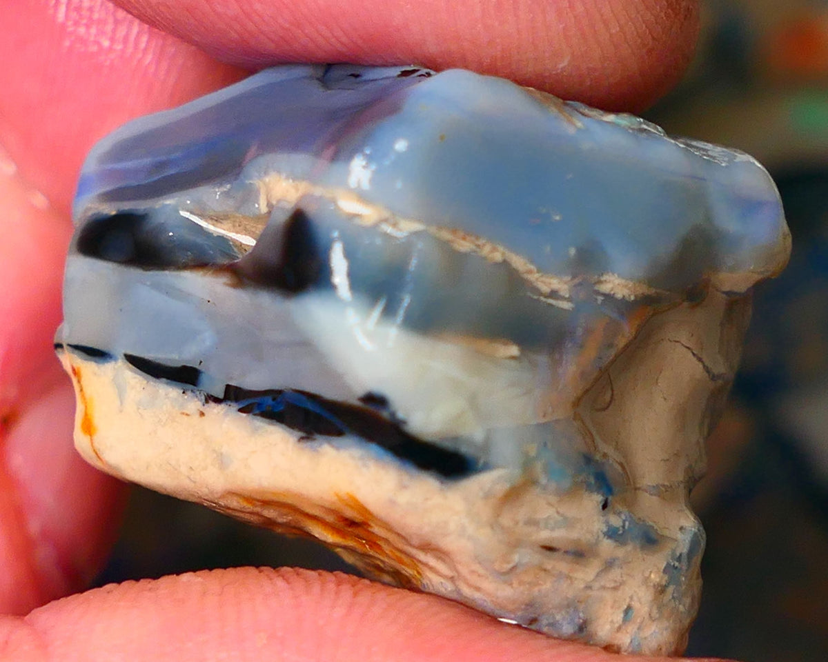 Lightning Ridge Gamble Huge Size Chunk of Seam opal rough 77cts showing some Bits of Blue colours 26x22x20mm ALP155