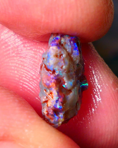 Lightning Ridge Wood Fossil opal rough 3.50cts showing nice bright M.colours 14x10x5mm ALP149