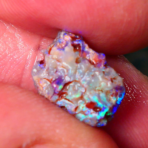 Lightning Ridge Wood Fossil opal rough 3.50cts showing nice bright M.colours 14x10x5mm ALP149