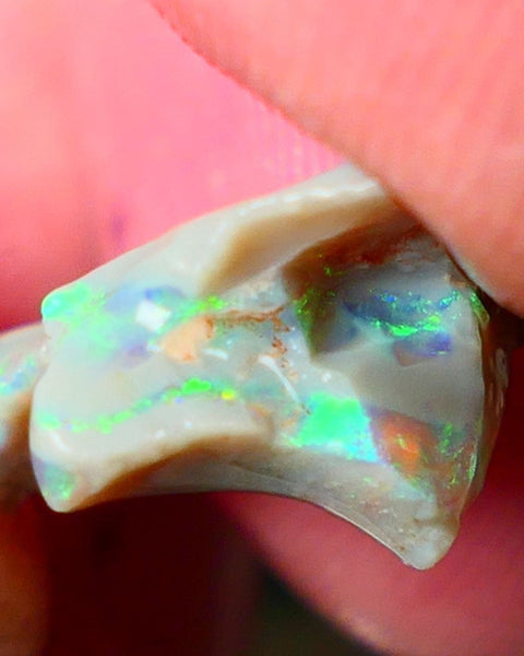 Lightning Ridge Gamble opal rough 4.50cts showing Very bright Multi colours 16x14x8mm ALP148