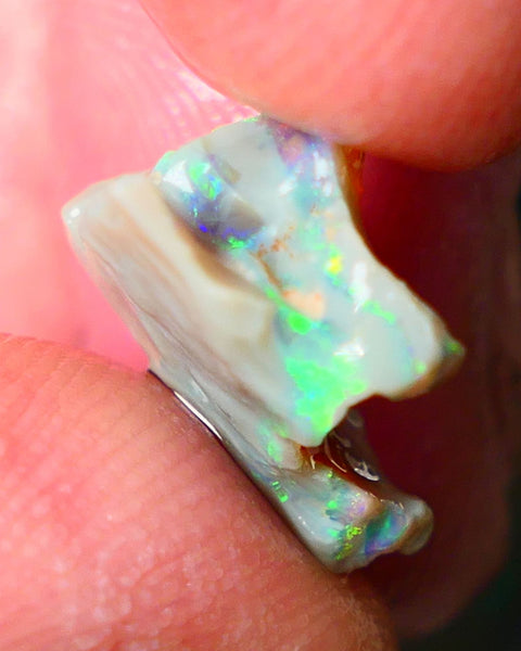 Lightning Ridge Gamble opal rough 4.50cts showing Very bright Multi colours 16x14x8mm ALP148