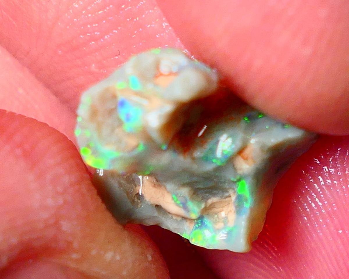 Lightning Ridge Gamble opal rough 4.50cts showing Very bright Multi colours 16x14x8mm ALP148