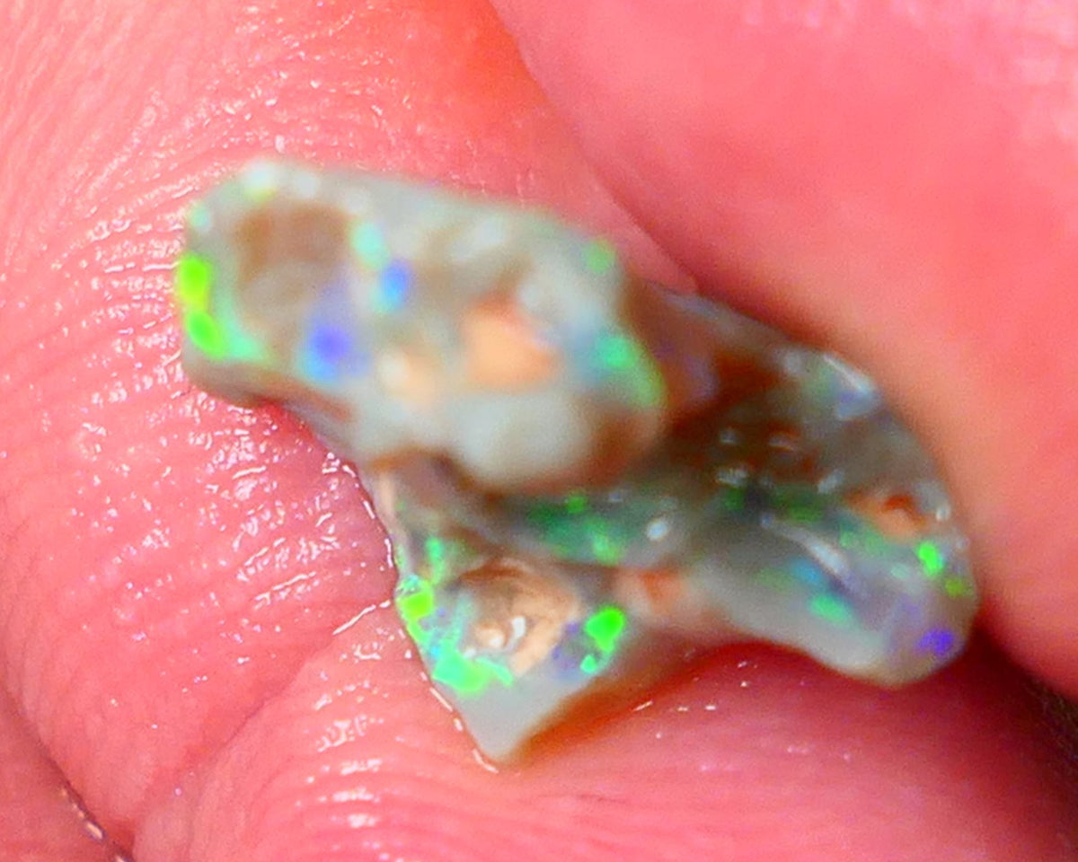 Lightning Ridge Gamble opal rough 4.50cts showing Very bright Multi colours 16x14x8mm ALP148