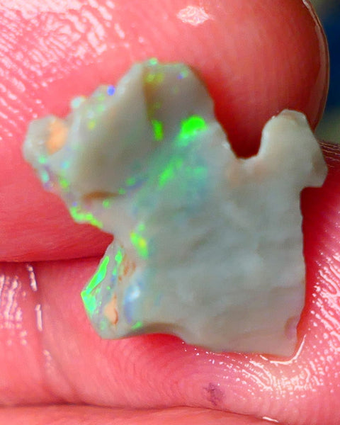 Lightning Ridge Gamble opal rough 4.50cts showing Very bright Multi colours 16x14x8mm ALP148