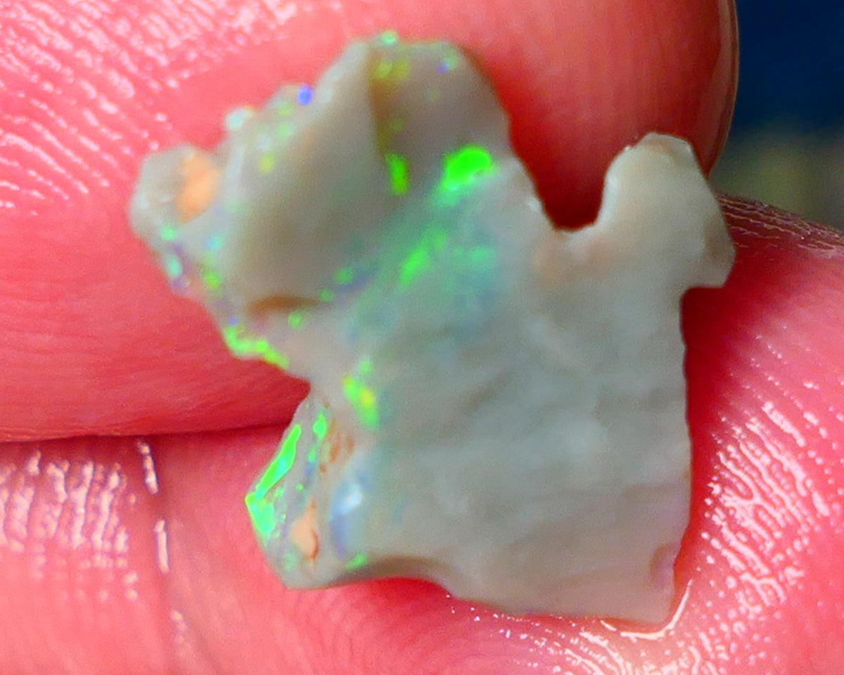 Lightning Ridge Gamble opal rough 4.50cts showing Very bright Multi colours 16x14x8mm ALP148