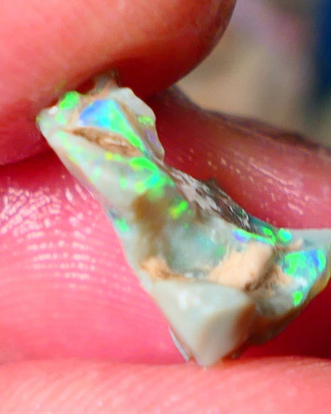 Lightning Ridge Gamble opal rough 4.50cts showing Very bright Multi colours 16x14x8mm ALP148