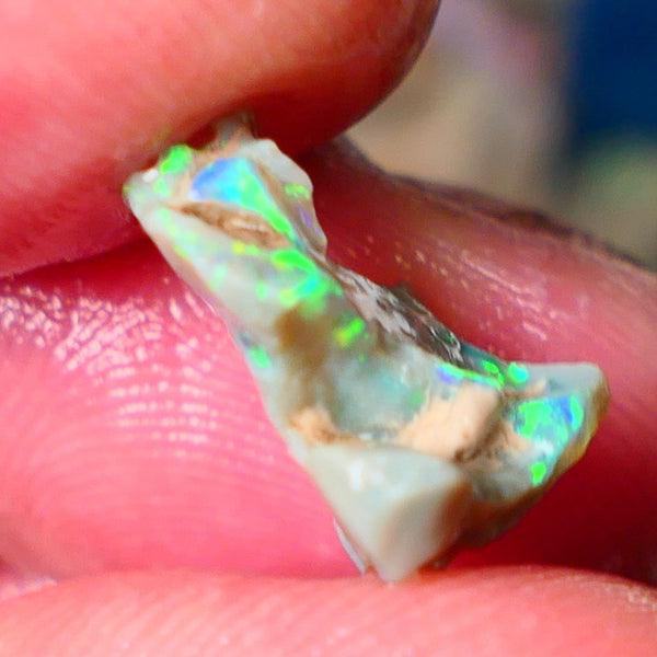 Lightning Ridge Gamble opal rough 4.50cts showing Very bright Multi colours 16x14x8mm ALP148