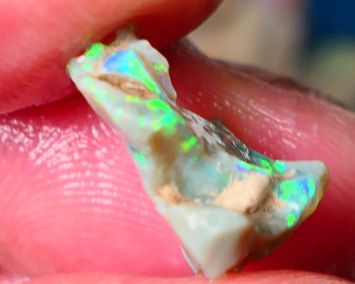 Lightning Ridge Gamble opal rough 4.50cts showing Very bright Multi colours 16x14x8mm ALP148