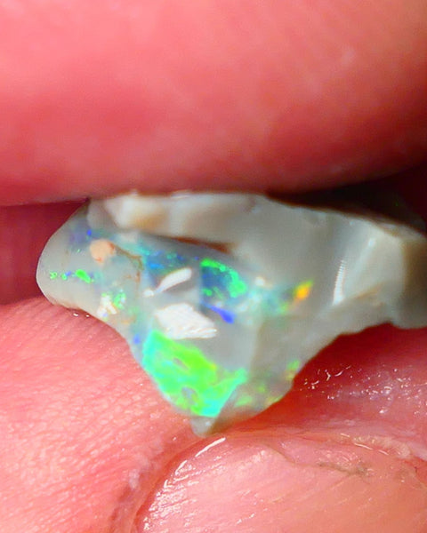 Lightning Ridge Gamble opal rough 4.50cts showing Very bright Multi colours 16x14x8mm ALP148