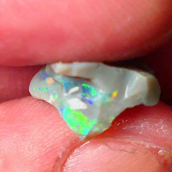 Lightning Ridge Gamble opal rough 4.50cts showing Very bright Multi colours 16x14x8mm ALP148