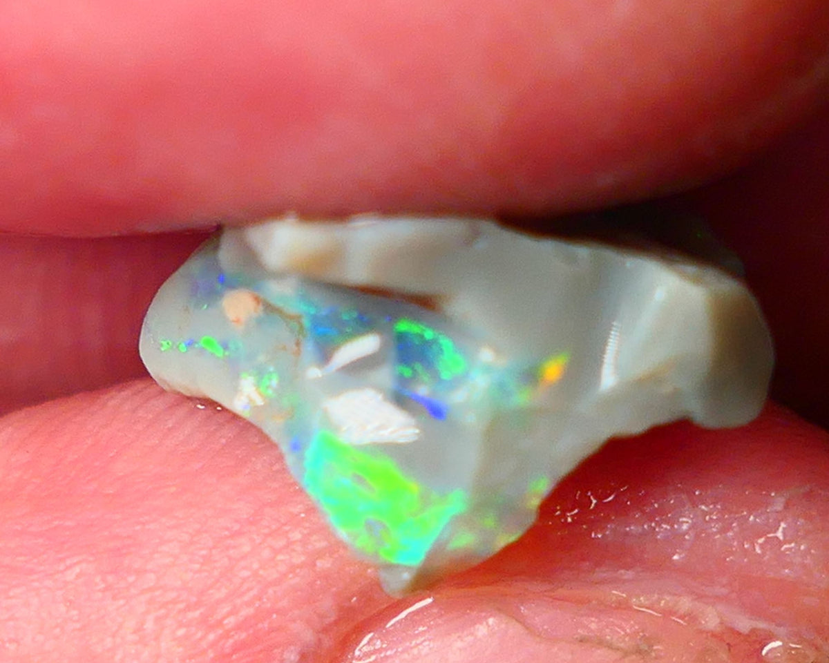 Lightning Ridge Gamble opal rough 4.50cts showing Very bright Multi colours 16x14x8mm ALP148