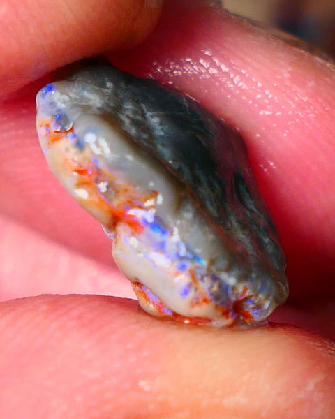 Lightning Ridge Gamble knobby opal rough 6.15cts showing nice bright Blue colours 17x12x6mm ALP145