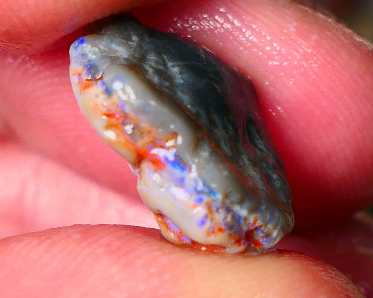 Lightning Ridge Gamble knobby opal rough 6.15cts showing nice bright Blue colours 17x12x6mm ALP145