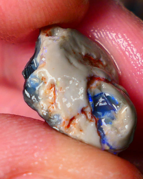 Lightning Ridge Gamble knobby opal rough 6.15cts showing nice bright Blue colours 17x12x6mm ALP145