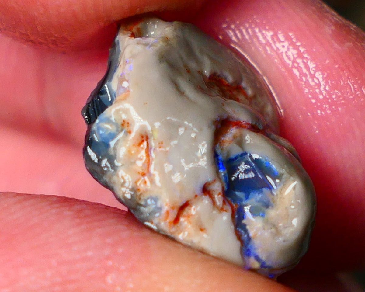 Lightning Ridge Gamble knobby opal rough 6.15cts showing nice bright Blue colours 17x12x6mm ALP145