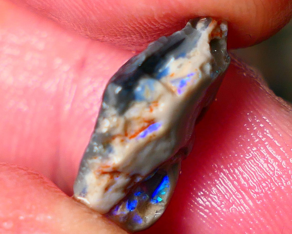 Lightning Ridge Gamble knobby opal rough 6.15cts showing nice bright Blue colours 17x12x6mm ALP145