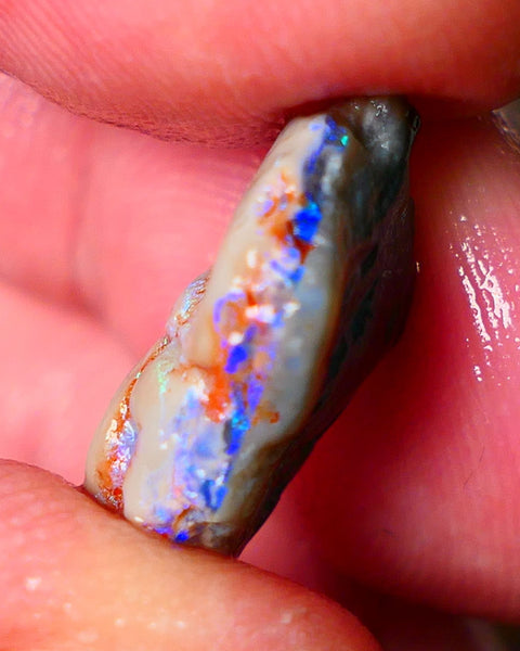 Lightning Ridge Gamble knobby opal rough 6.15cts showing nice bright Blue colours 17x12x6mm ALP145