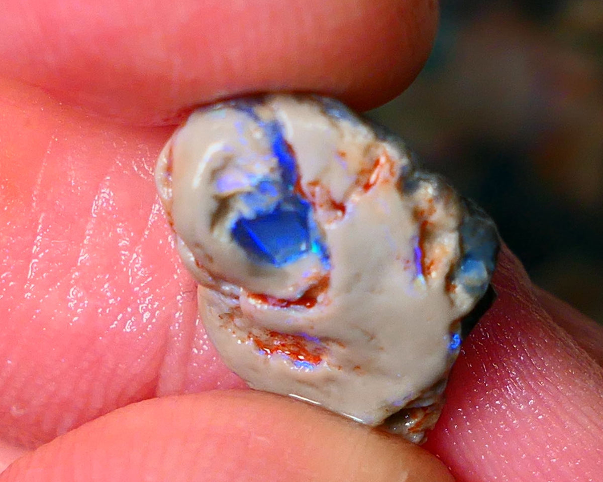 Lightning Ridge Gamble knobby opal rough 6.15cts showing nice bright Blue colours 17x12x6mm ALP145