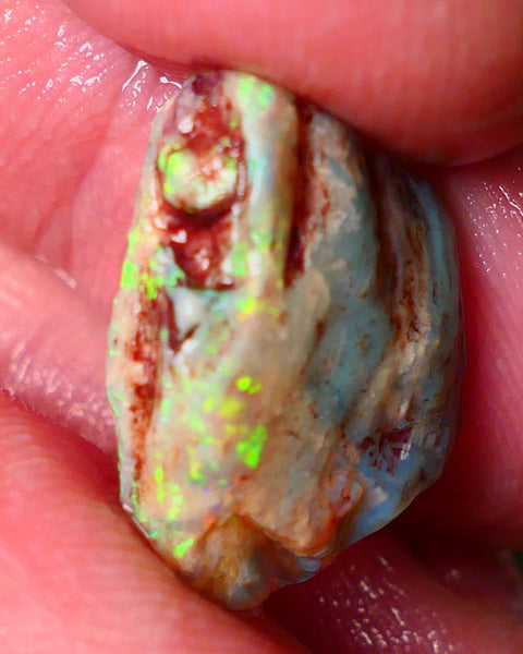 Lightning Ridge Knobby opal rough 9.25cts showing nice bright Multi colours  19x14x7mm ALP146