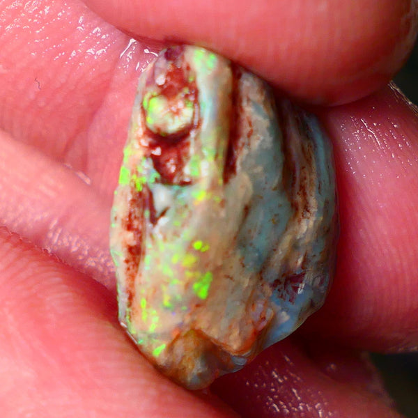 Lightning Ridge Knobby opal rough 9.25cts showing nice bright Multi colours  19x14x7mm ALP146