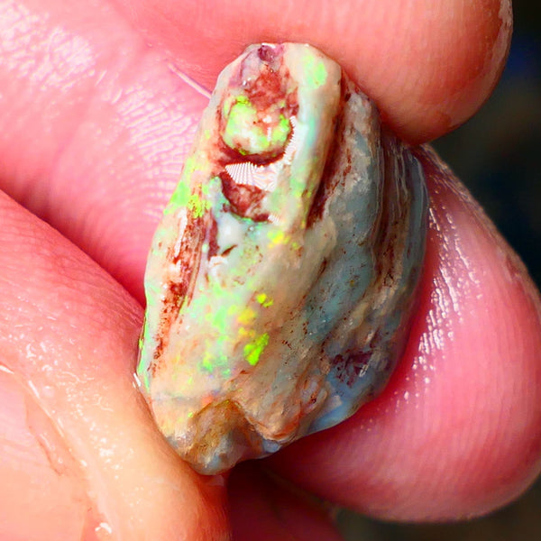 Lightning Ridge Knobby opal rough 9.25cts showing nice bright Multi colours  19x14x7mm ALP146