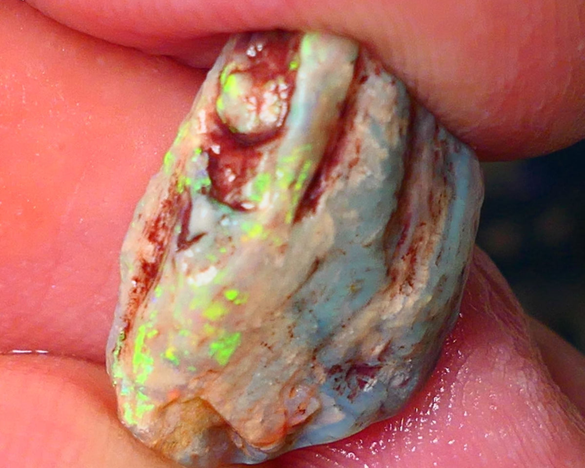 Lightning Ridge Knobby opal rough 9.25cts showing nice bright Multi colours  19x14x7mm ALP146