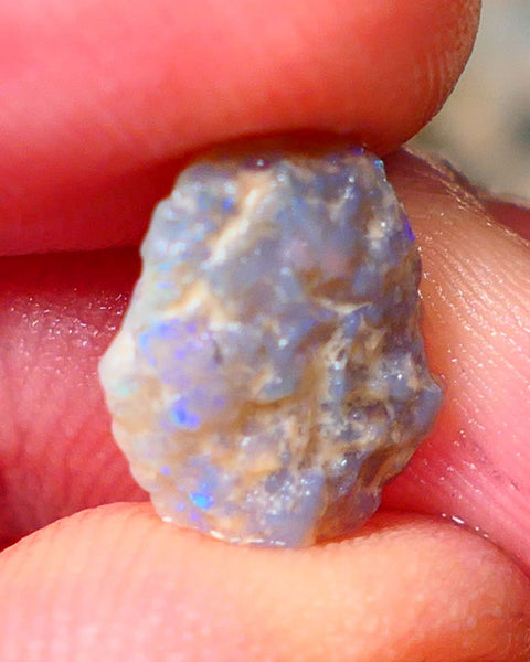 Lightning Ridge Small Knobby Rough Opal 2.50cts Showing Blue fires to gamble 13x10x3mm Auction59