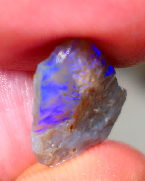 Lightning Ridge Rough rub Opal 3.15cts Dark Base blue dominant fires to cut and polish 15x13x3mm Auction81